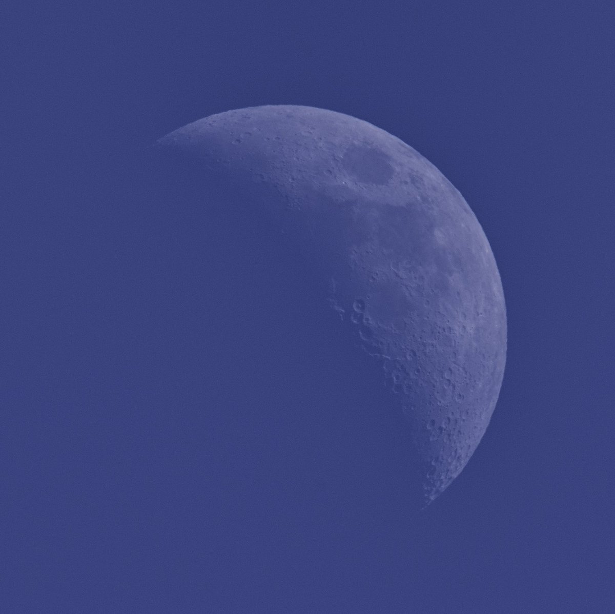 GrahamBowes's tweet photo. Moon in a clear blue spring sky 36.5% Waxing #luna #astrophotography #sonya7riii #moon https://t.co/n5p8n7nu3y