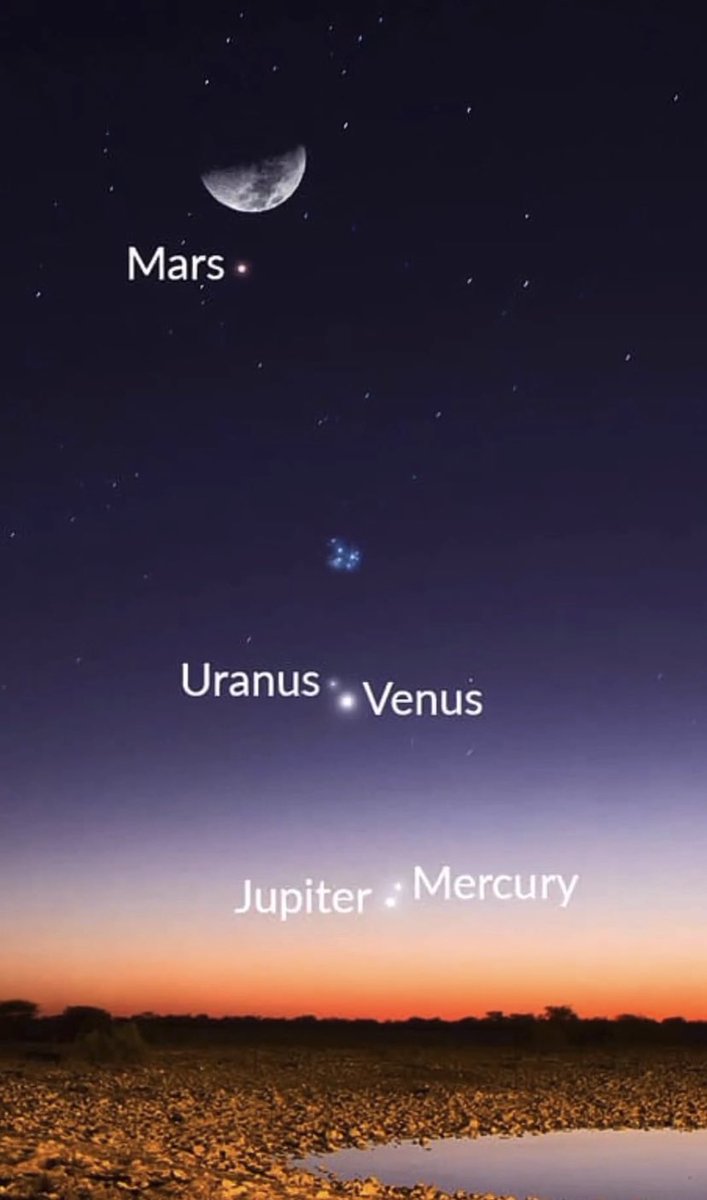 Ika Ferrer Gotić tweet media