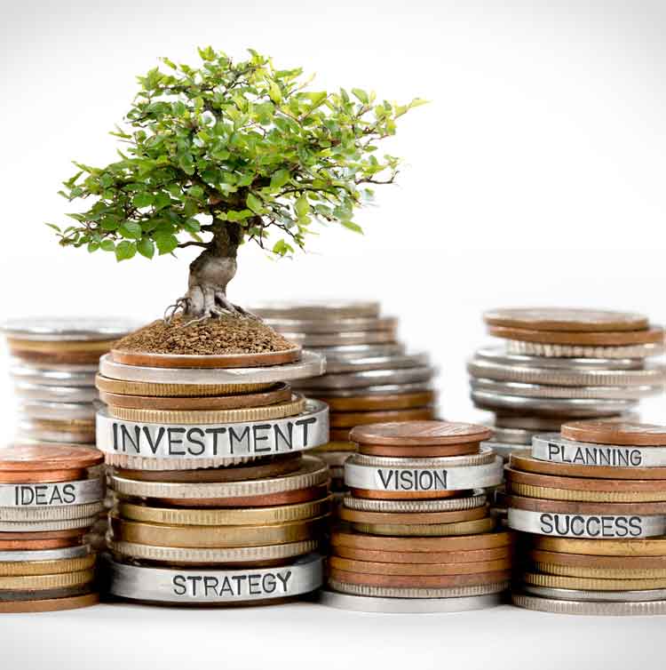 DonnaLoader's tweet photo. When more funds are required for more growth at your business, let Fundwise Capital help. With agents and coaches, the right plan will be made for you. https://t.co/WqrcwMqhlQ  #businesshelp #funding https://t.co/lBpBSfj74s
