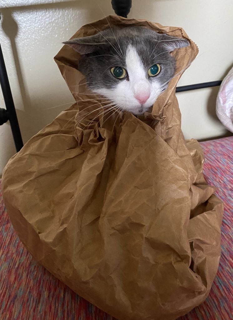 Weedlord_Boner's tweet image. grocery