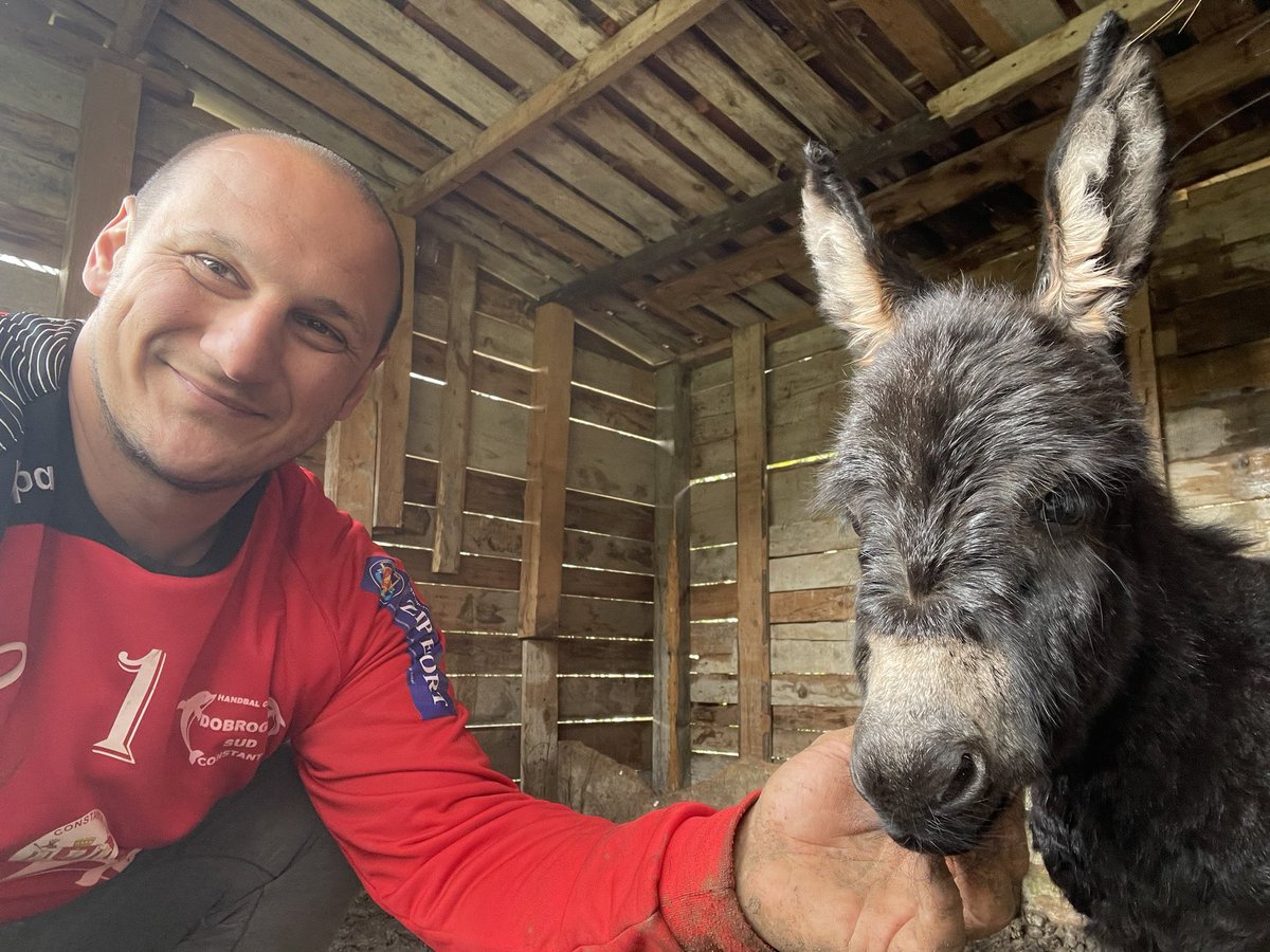 winery_Rakcevic's tweet photo. Danas smo bas srecni. Na nase imanje se rodilo malo magarence. Cekamo da joj Iskra nađene ime. Trudicemo se da uziva☺️❤️ https://t.co/OMbxZcUYZD