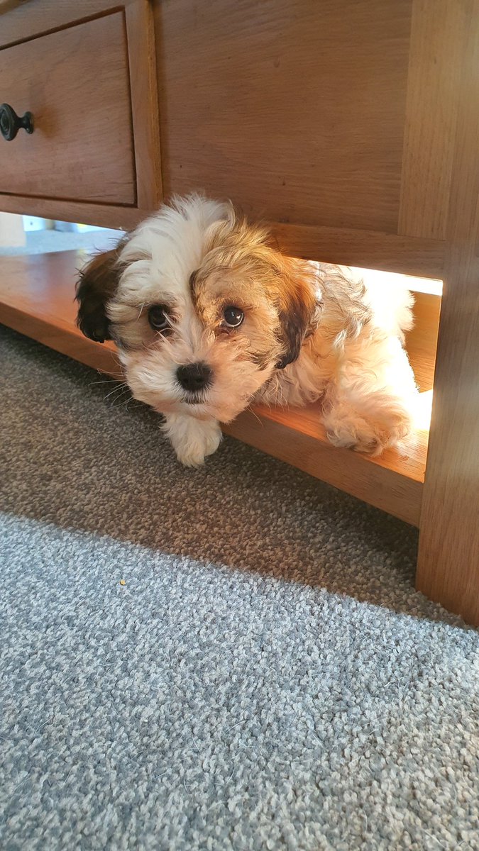 Leanne.B tweet media