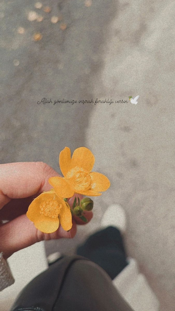 Büş✨ (@busratncyy) on Twitter photo 