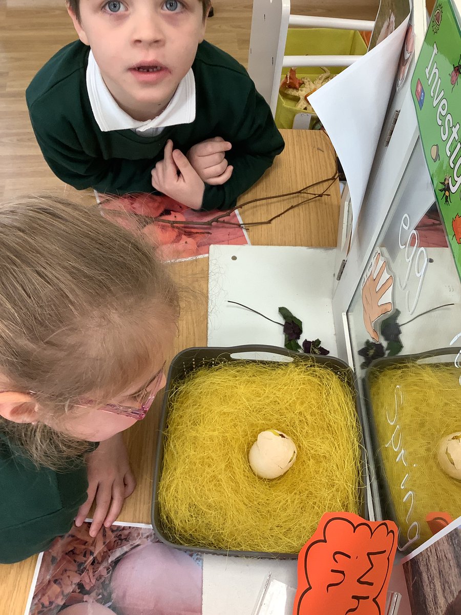 WideyBumblebee's tweet photo. Lots of excitement in Bumblebee this morning as our mystery egg has cracked! 🥚 https://t.co/CdAd8dAWhv
