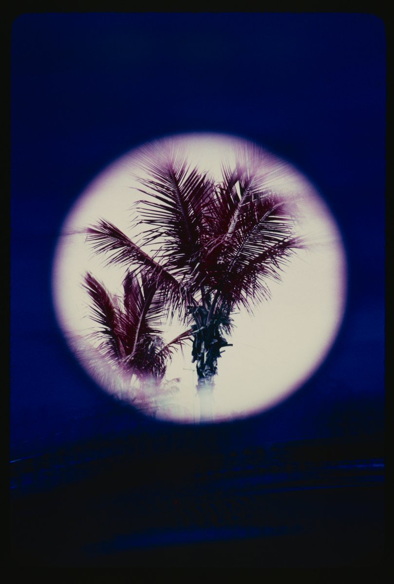 The Digital Archive tweet media