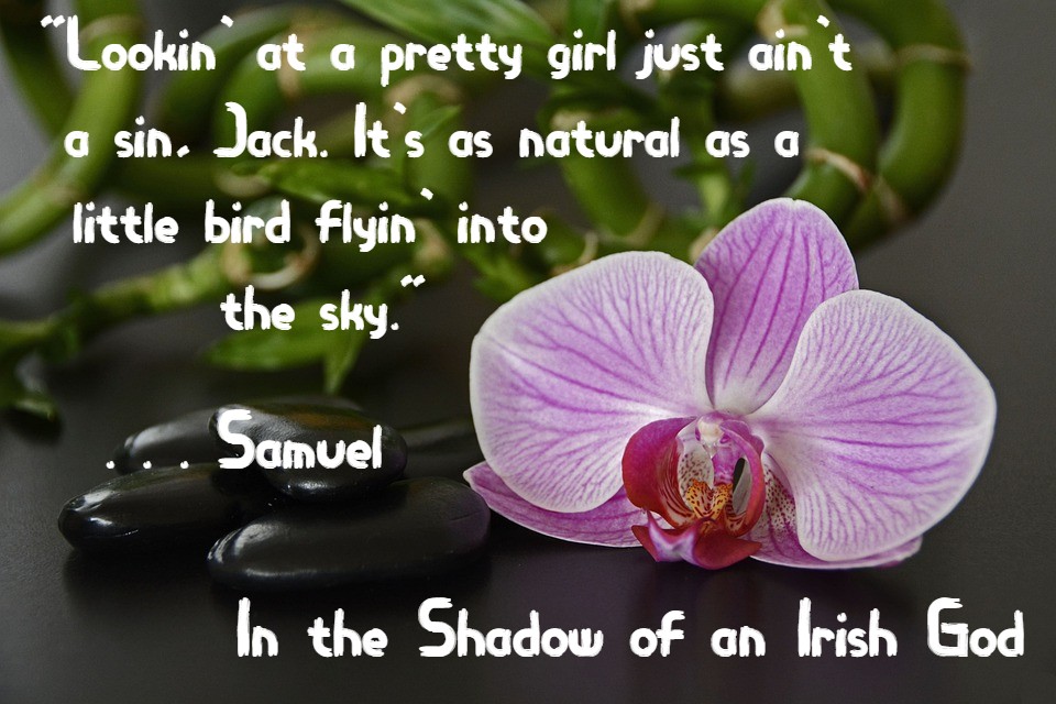 sbarry42's tweet photo. Young Jack Maguire's mental health is in jeopardy. Samuel eases him toward a more realistic attitude about religious belief.                                                             IN THE SHADOW OF AN IRISH GOD, by SD Barry  https://t.co/CvB0by65zL    #YA    #literaryfiction https://t.co/FMZ8so0pQZ