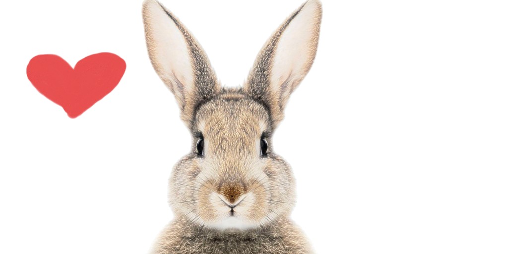 Zip N' D.A.B tweet media