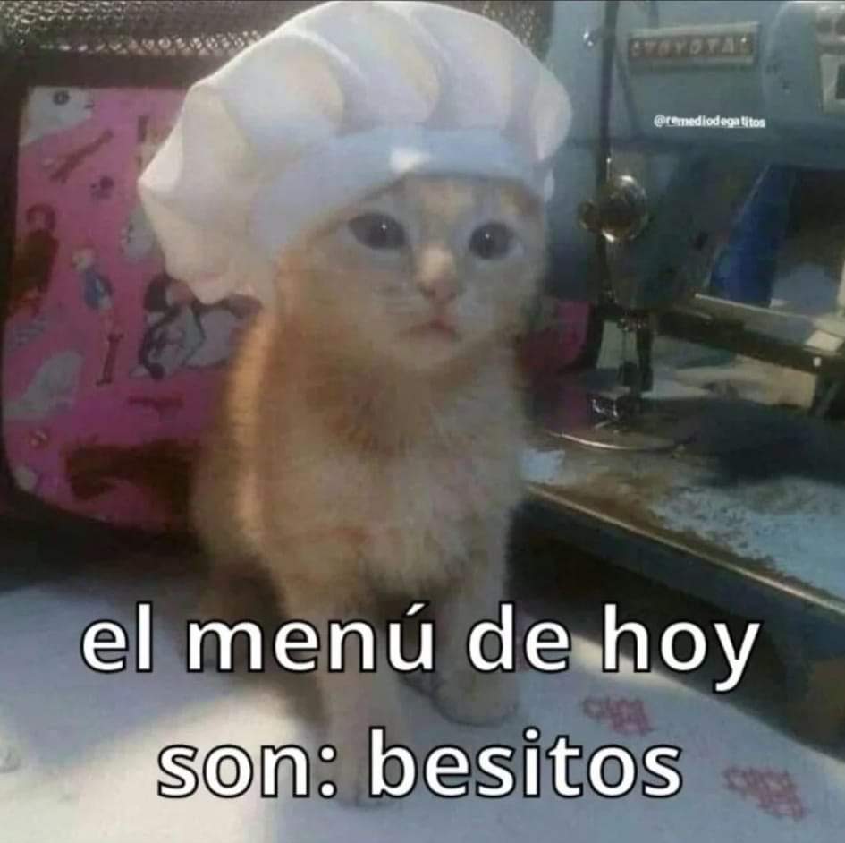 REN. (@alittlestxr) on Twitter photo 