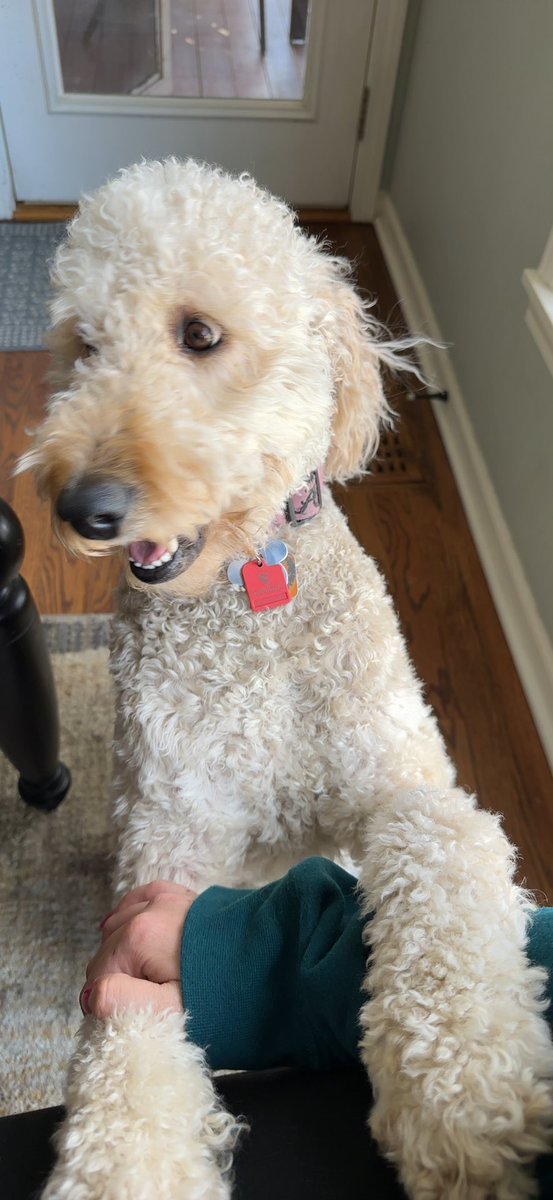 disneydogdaisy's tweet photo. bestie @anyastratynski7 is here, i’m a happy girl 🤩 https://t.co/4hOjpHytMS