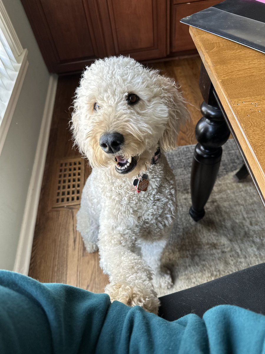 disneydogdaisy's tweet photo. bestie @anyastratynski7 is here, i’m a happy girl 🤩 https://t.co/4hOjpHytMS