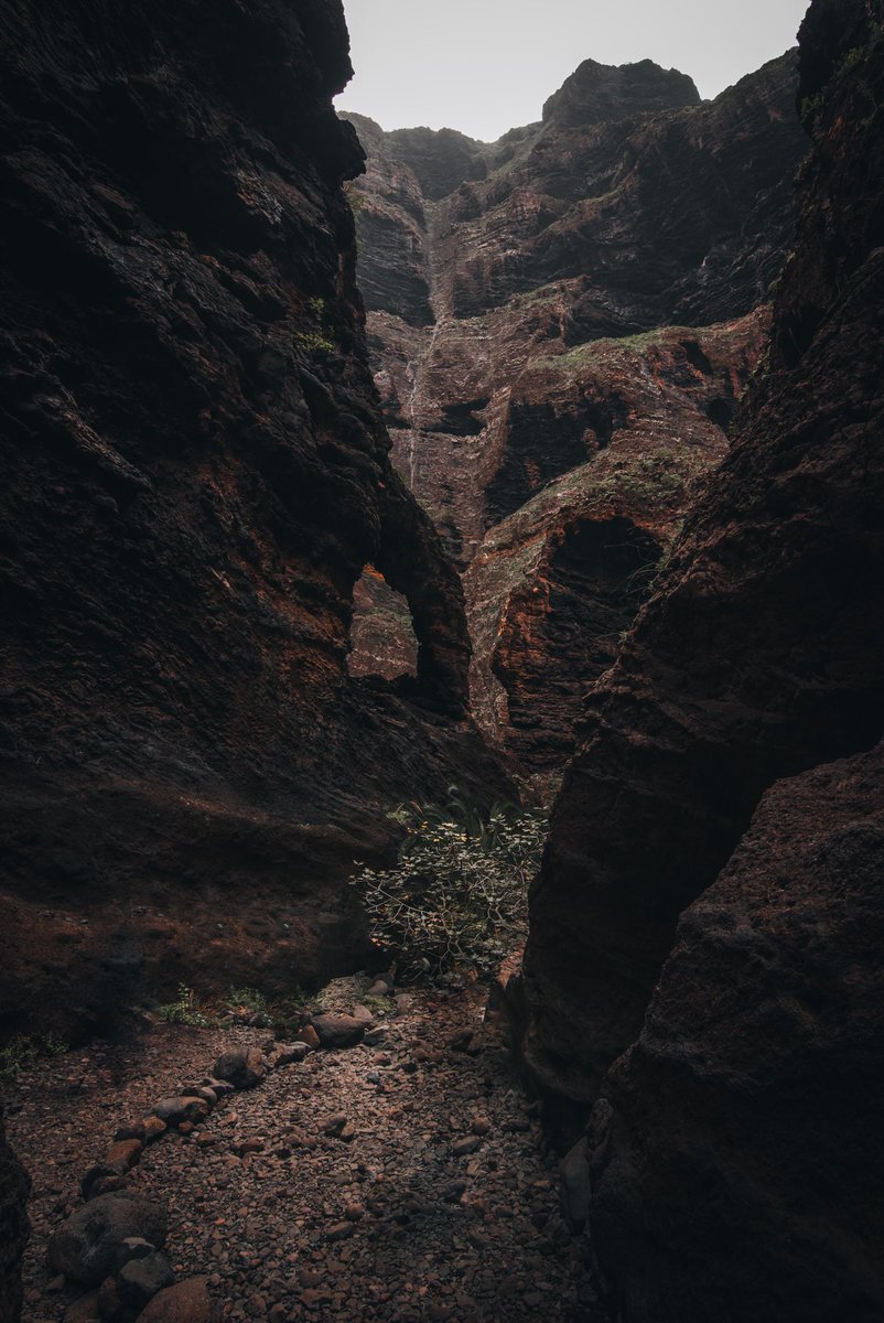 dscvr_unhidden's tweet photo. #photography #outdooradventures #outdoorphotography #NaturePhotograhpy #nikonphotography #Tenerife #CanaryIslands https://t.co/mgxmT14YYa