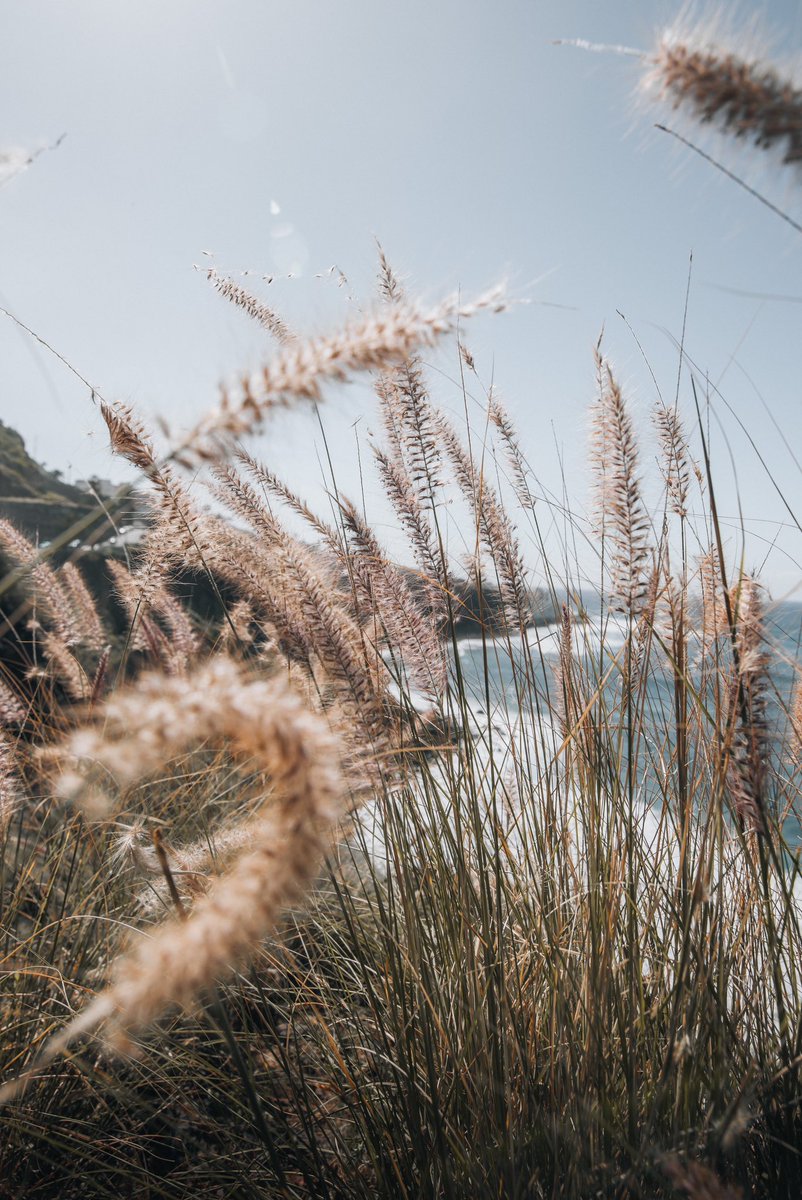 dscvr_unhidden's tweet photo. #photography #outdooradventures #outdoorphotography  #NaturePhotograhpy #nikonphotography #Tenerife #CanaryIslands https://t.co/0uG2m4Q0oN