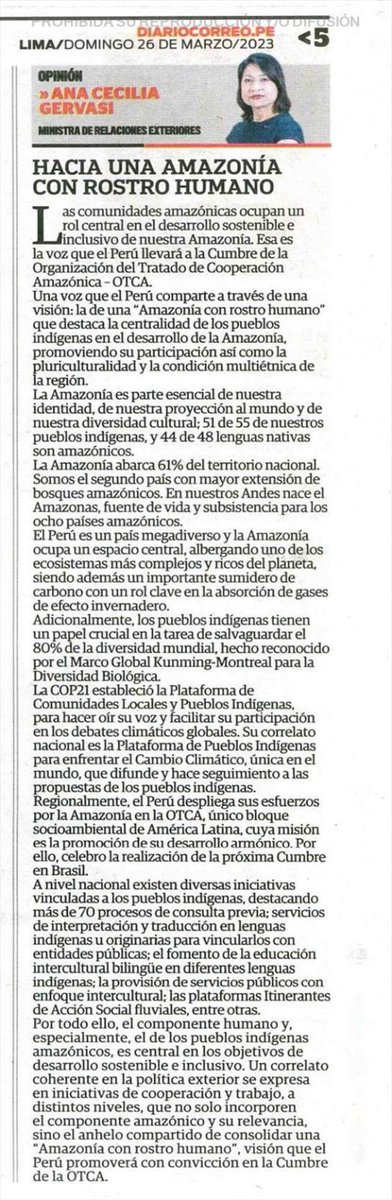 CancilleriaPeru's tweet photo. Compartimos el artículo de la Canciller Ana Cecilia Gervasi "Hacia una Amazonía con rostro humano", publicado en @diariocorreo.
👉 https://t.co/YA6kXq436e https://t.co/44A5nuRy9Z