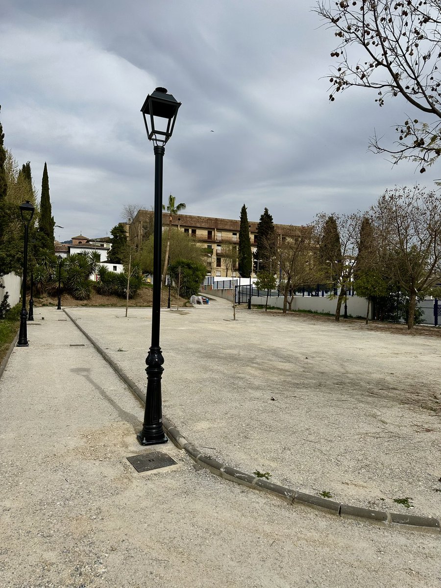 Aurora Suárez tweet media