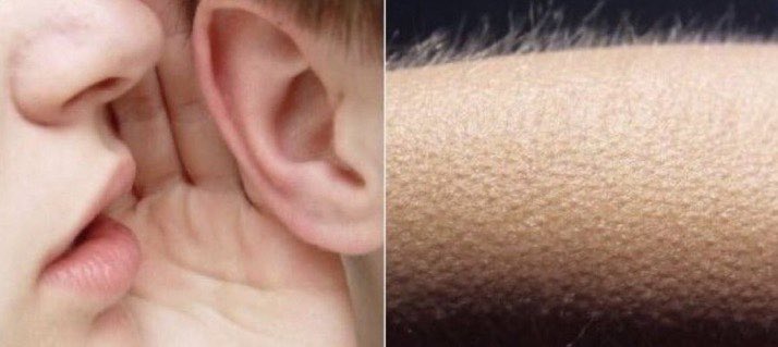 rahmk12's tweet image. Monday Binge; #Succesion IV on #Showmax 🤳💻

As it speeds to conclusion, there’s unexpected thrills that sprout new forms😮‍💨

New episodes will be released every  MONDAY

📲 Add showmax to your DStv bill via mydstv.onelink.me/vGln/jpydur7r &amp;amp; get a 50% discount

#JoinThatShowMaxLife