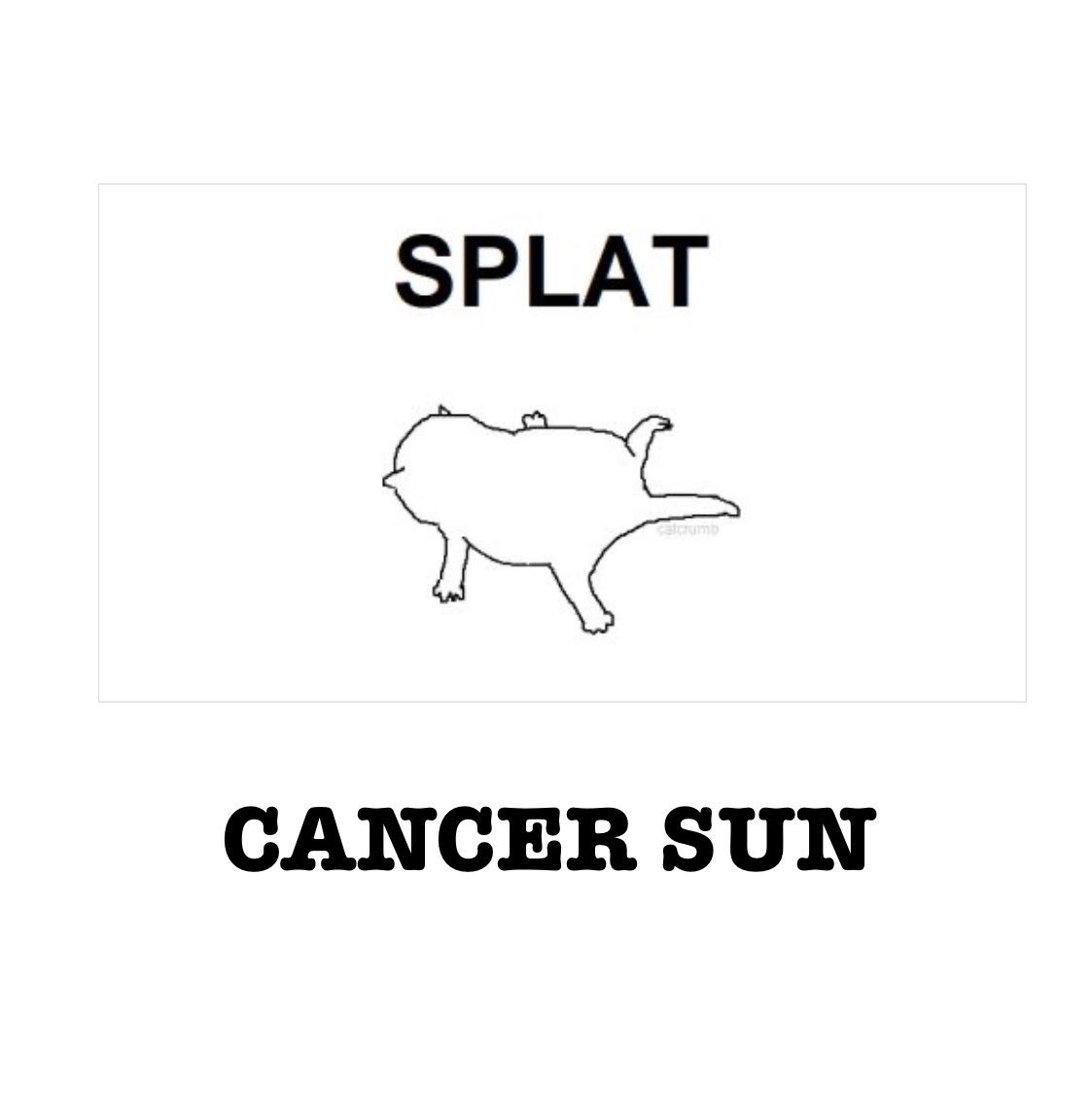 GuMargret's tweet photo. @rut_tho Ég er dæmd til að vera þræll tilfinninga minna sem cancer sól og tungl + venus og mars líka til að fullkomna þetta🙈 https://t.co/Wv8JRpqbHC