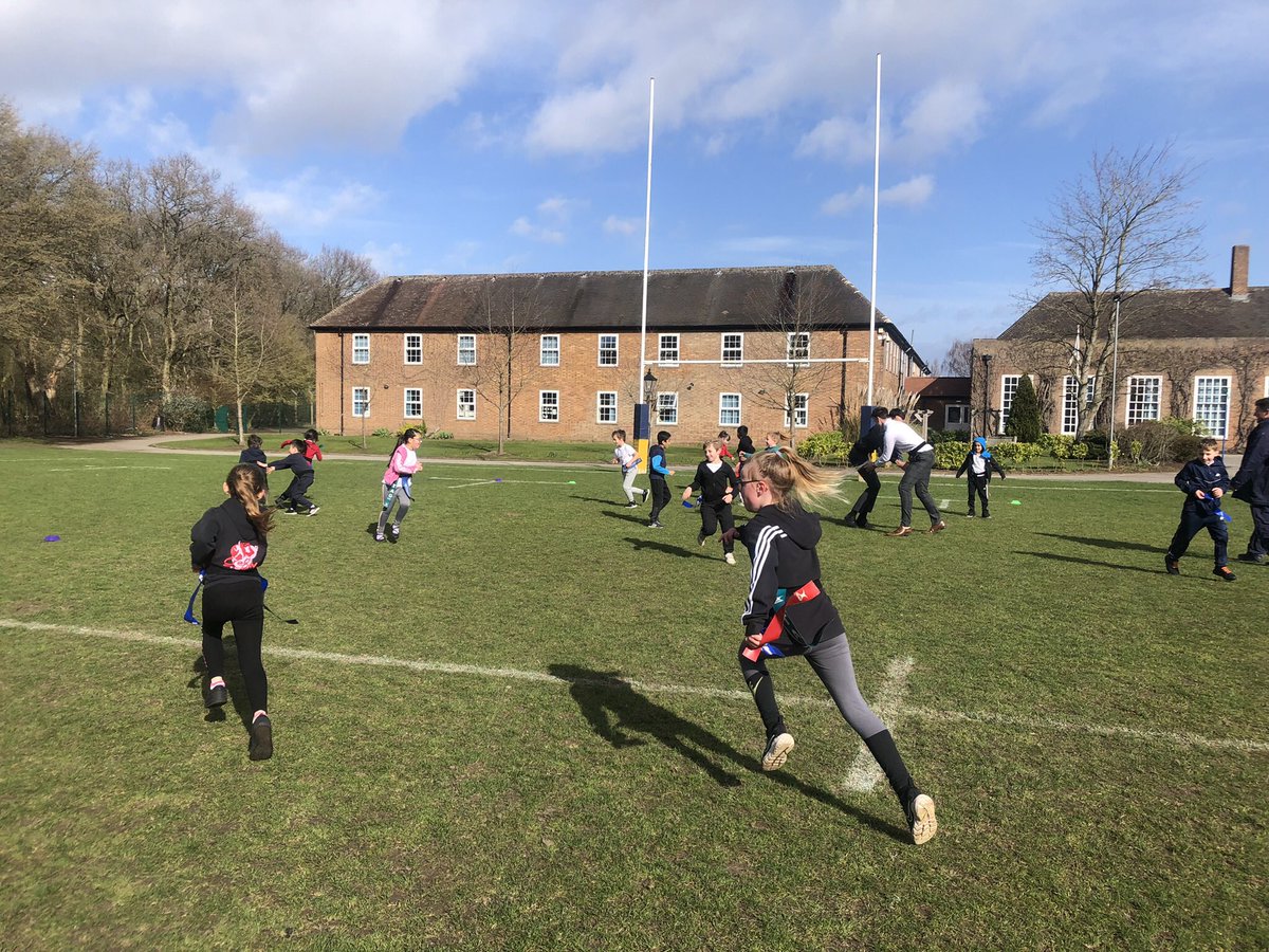 Year3Sharma tweet media