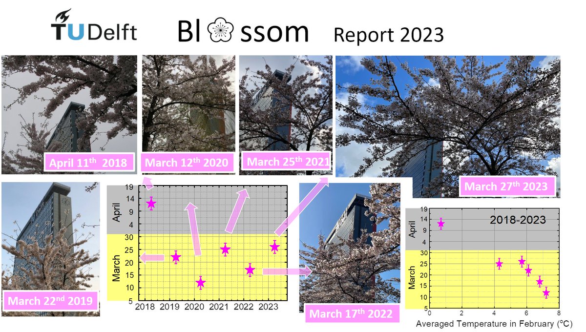 This happens when you have lived in Japan for several years, one starts to monitor the Sakura season. My observations of the last years suggest that the date of the cherry blossom <a href="/tudelft/">TU Delft</a> campus correlates with the averaged temperature in the month February...