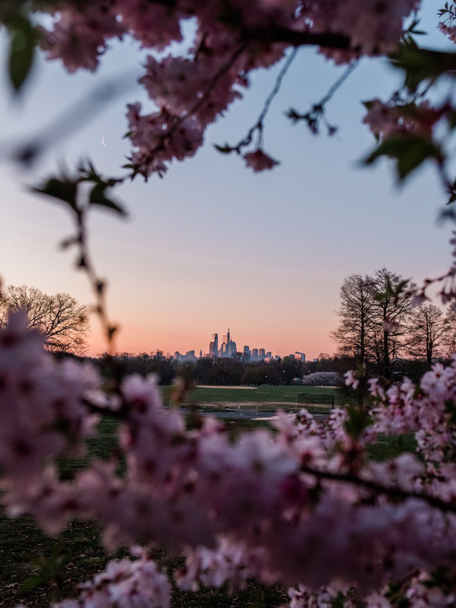 nev_in_color's tweet photo. bloom. https://t.co/q3hrCagxTO