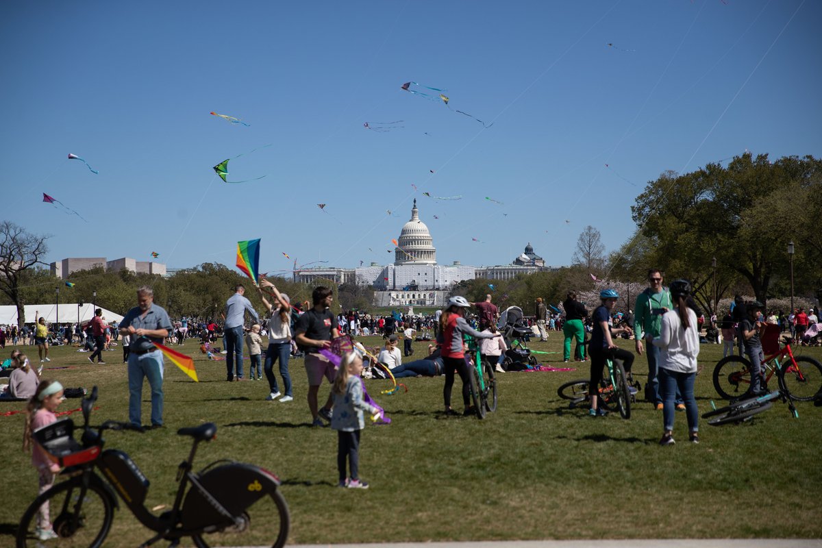 TheDailyIowan's tweet photo. Downtown Washington D.C. filled with visitors for the Blossom Kite festival, on Sunday. The kite festival is part of the annual Cherry Blossom festival, a five-week celebration of the cherry blossom trees which were planted along the Tidal Basin in D.C. in 1912.📸 @emily_n_photos https://t.co/5j5K3Ybryt