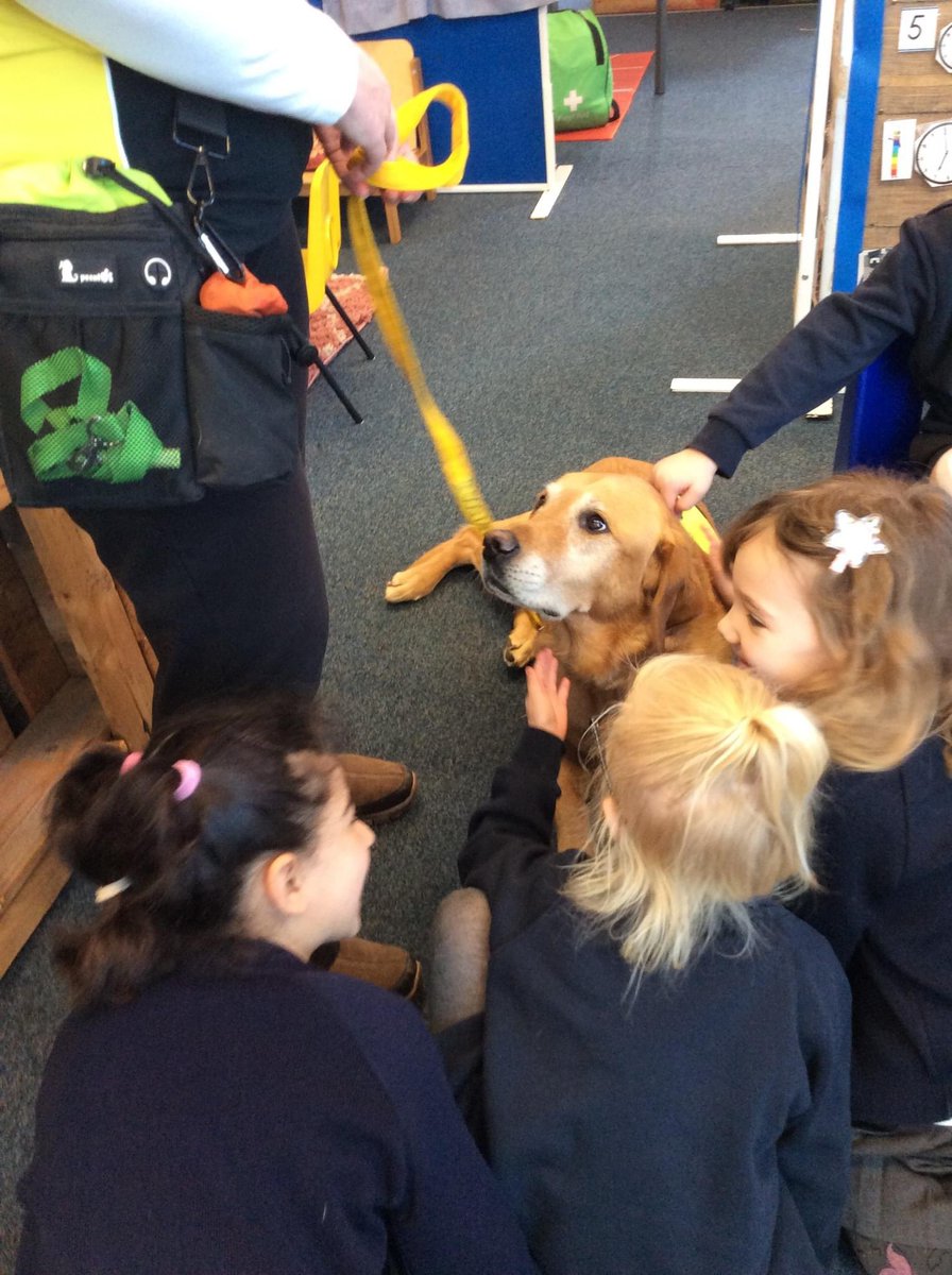 UpperNiddEYFS's tweet photo. 🐾 we had a visit from Marty the school therapy dog today! Marty is here to support our PSED, well-being and help us read with confidence! 🐾 https://t.co/5r2t9WgGbV