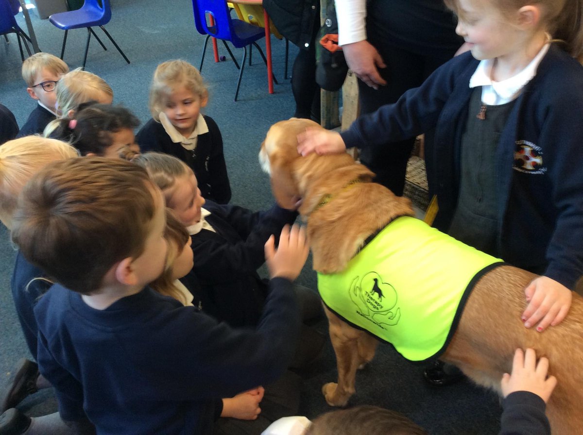 UpperNiddEYFS's tweet photo. 🐾 we had a visit from Marty the school therapy dog today! Marty is here to support our PSED, well-being and help us read with confidence! 🐾 https://t.co/5r2t9WgGbV