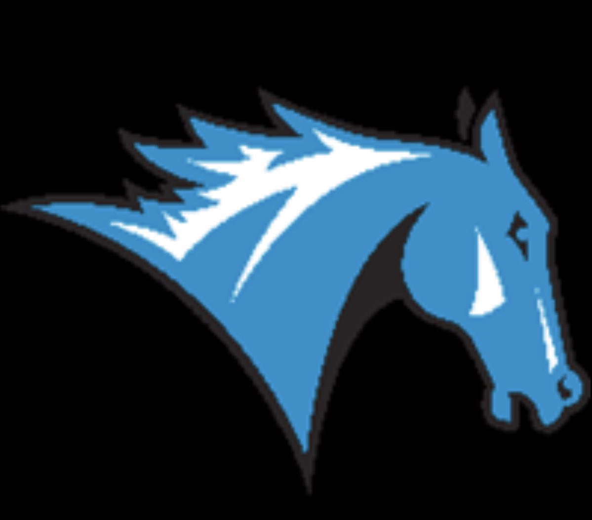 edvincet's tweet photo. Truly blessed to have received my first offer from Colby Sawyer College! 
@Coach__Hensley @GGHSBasketball @DanKaigler @StoryofMick https://t.co/hy80KEAyh1