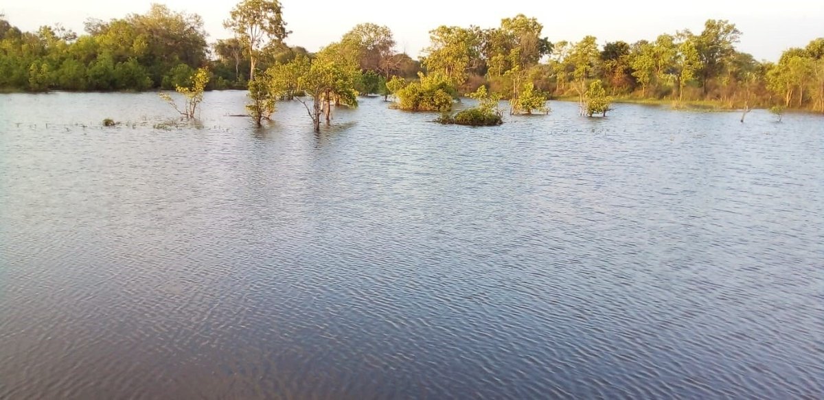 HOPE International Development Agency tweet media