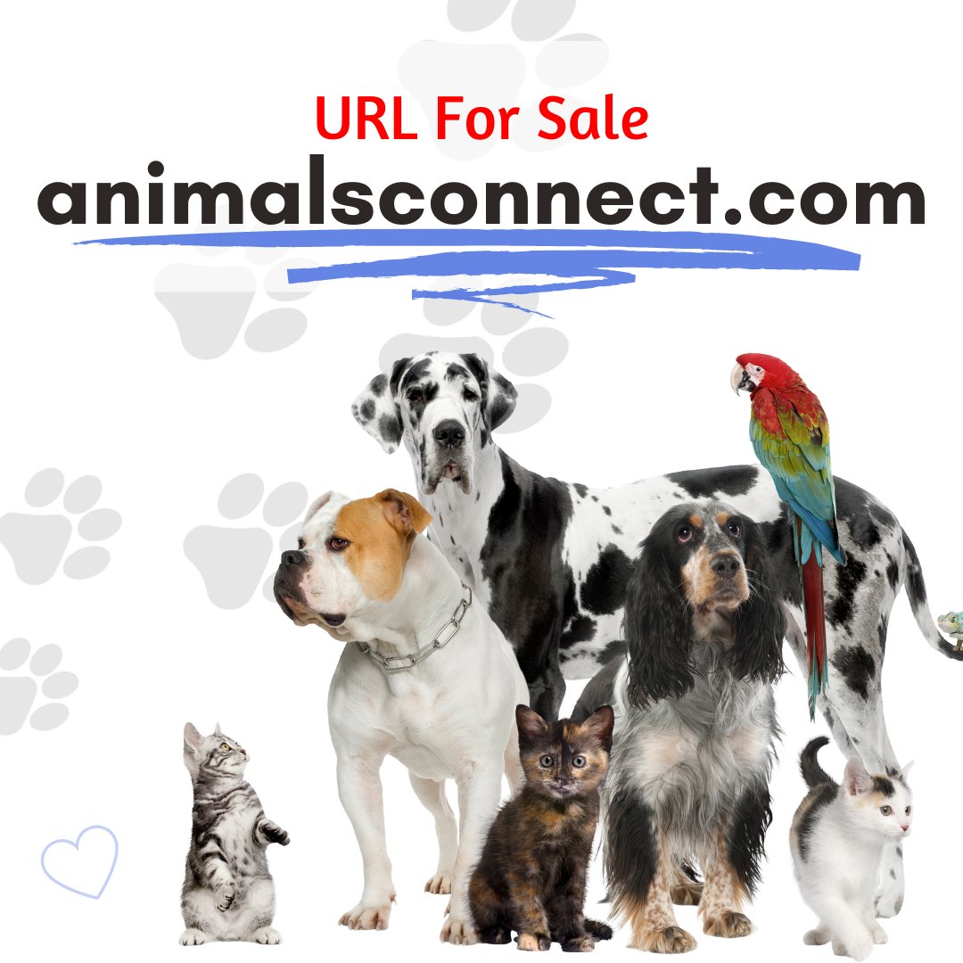 ColetteStClair's tweet photo. https://t.co/VSrjBc9IPe will establish a strong online presence in the animal lover community. This URL is easy to remember making it the perfect choice for your business venture.
#urlforsale #animallovers #animalbusiness #vet #url #animals #business #veterinarian #petstore https://t.co/s7LuqYBQQ7