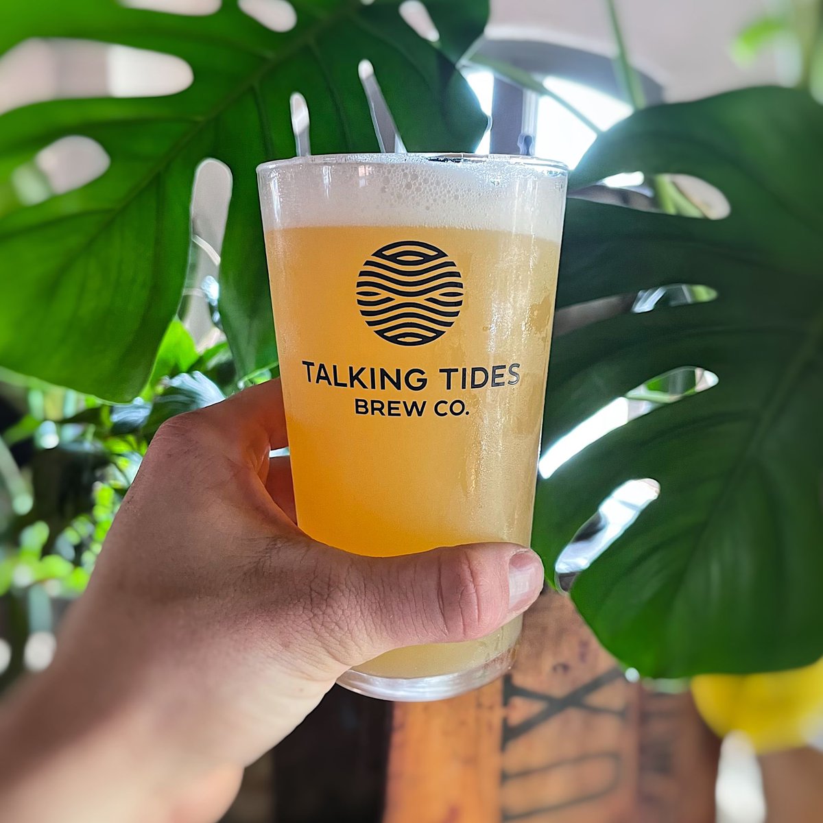 Talking Tides Brew Co tweet media
