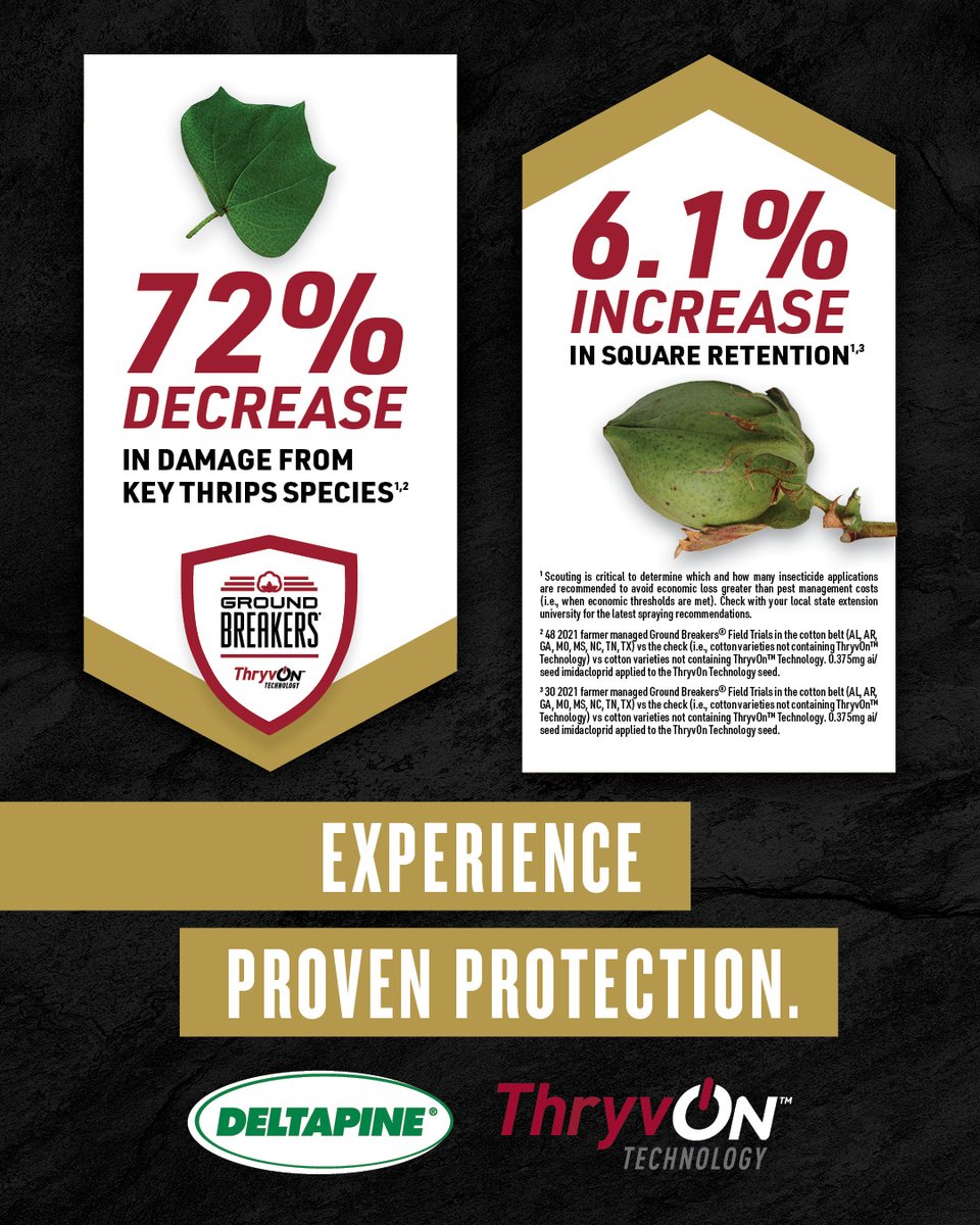 DELTAPINE's tweet photo. Bollgard 3 #ThryvOn cotton with XtendFlex Technology contains the industry’s first cotton biotech trait to provide built-in protection against key tarnished plant bugs and thrips species. 💪
https://t.co/LJH02D8Ik6
#StrongCotton #AddedProtection @BayerTraits https://t.co/0XhIIXFOdC