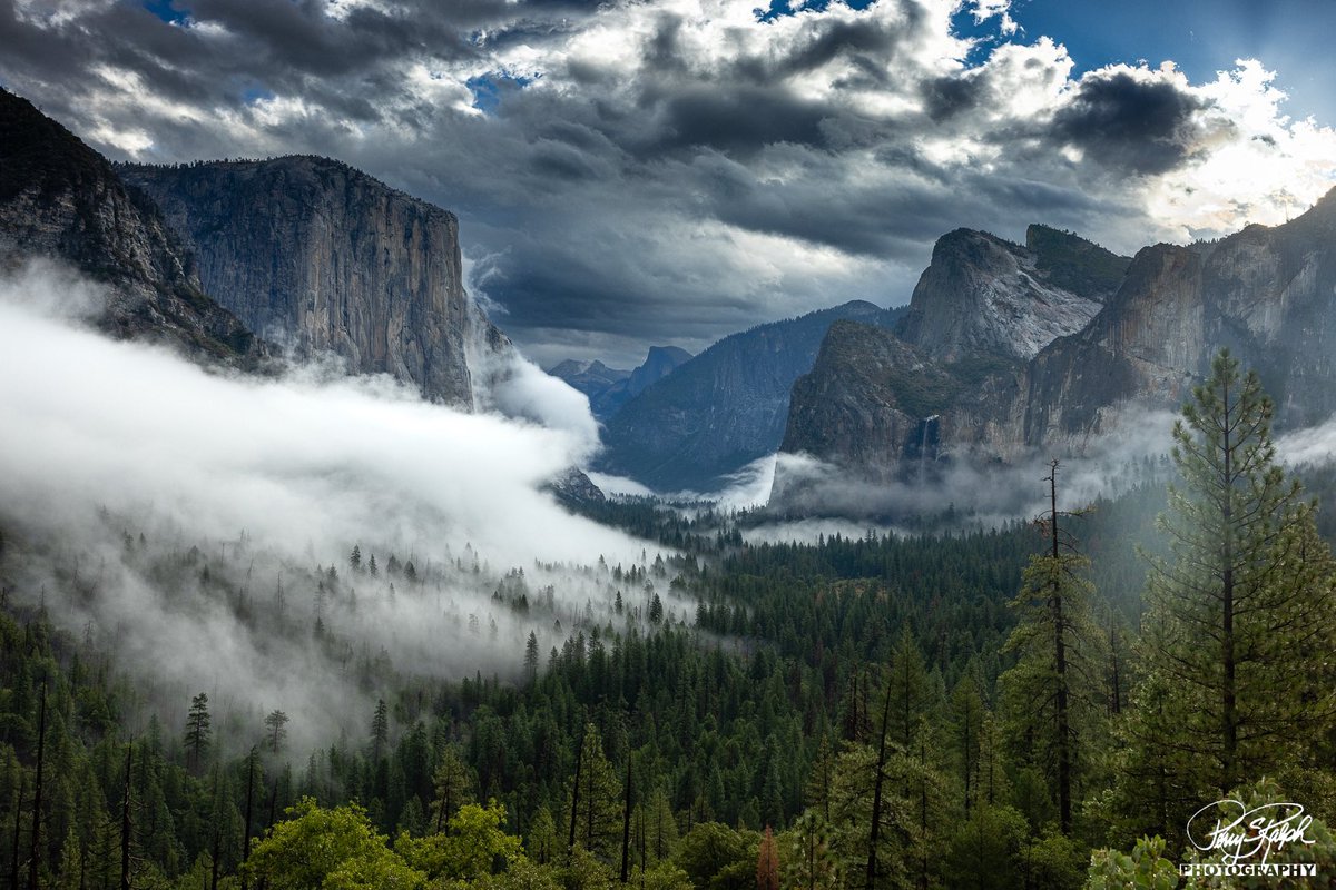 perryralph's tweet photo. @admired_art #clouds foggy Yosemite Valley. the fog starts to clear and wraps around El Capitan #yosemite #elcapitan #fog #landscapephotography #yosemitenationalpark #californialove https://t.co/65qG9xqzK4