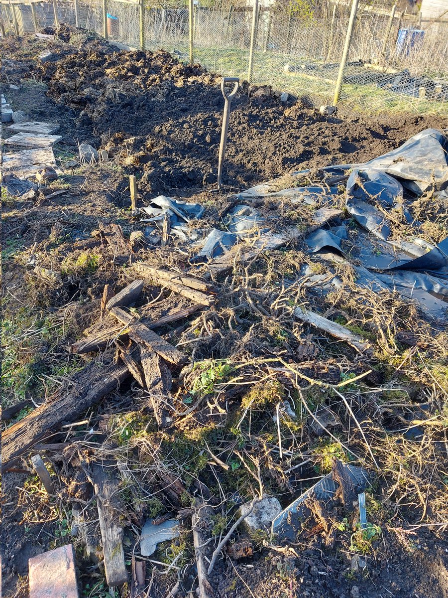 ToavesG's tweet photo. A little more weeding,  and shifting of top soil.

#toaves #weeding #coveringwithtopsoil #allotmentrenovation #allotmentlife #preparationiskey #2023growingseason https://t.co/TF6SQ25vso