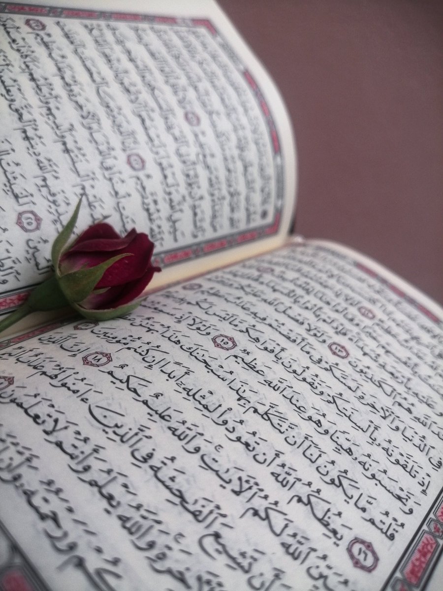 noorjan_96's tweet photo. أن تحيا مع القرآن، وتتقلب بين صفحاته صُبح مساء،ذلك هو نعيم الدّنيا في أعظم صوِره ..🤍 https://t.co/VVtVP5eP5s