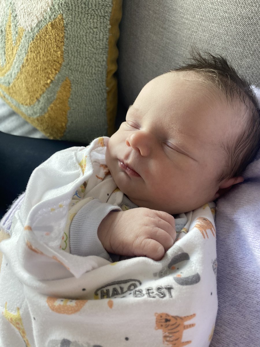 Renée Ware Mayers tweet media