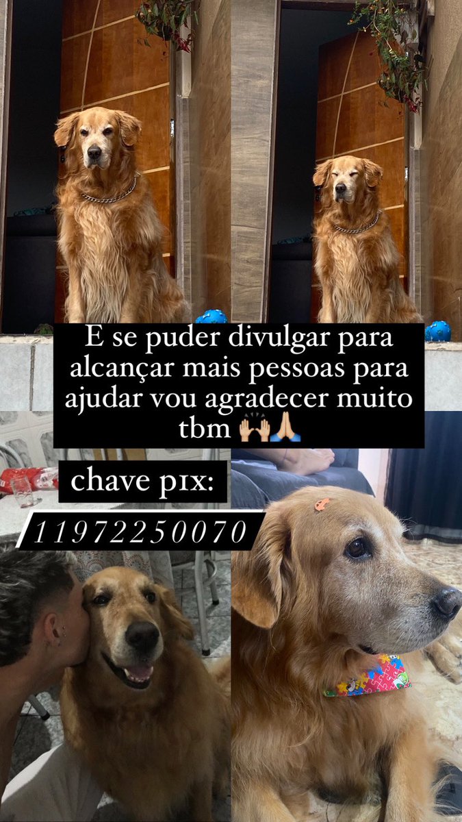 GuiGouvea00's tweet photo. Olá pessoal, vim aqui triste e pedir uma ajuda de vocês!

Eu e minha família não temos dinheiro para poder suportar com o valor compatível da cirurgia, consultas e tratamento

Quem puder doar qualquer valor ja vou ser muito grato

Pix: 11972250070 https://t.co/JEsqMeTq5H
