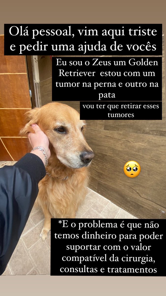GuiGouvea00's tweet photo. Olá pessoal, vim aqui triste e pedir uma ajuda de vocês!

Eu e minha família não temos dinheiro para poder suportar com o valor compatível da cirurgia, consultas e tratamento

Quem puder doar qualquer valor ja vou ser muito grato

Pix: 11972250070 https://t.co/JEsqMeTq5H