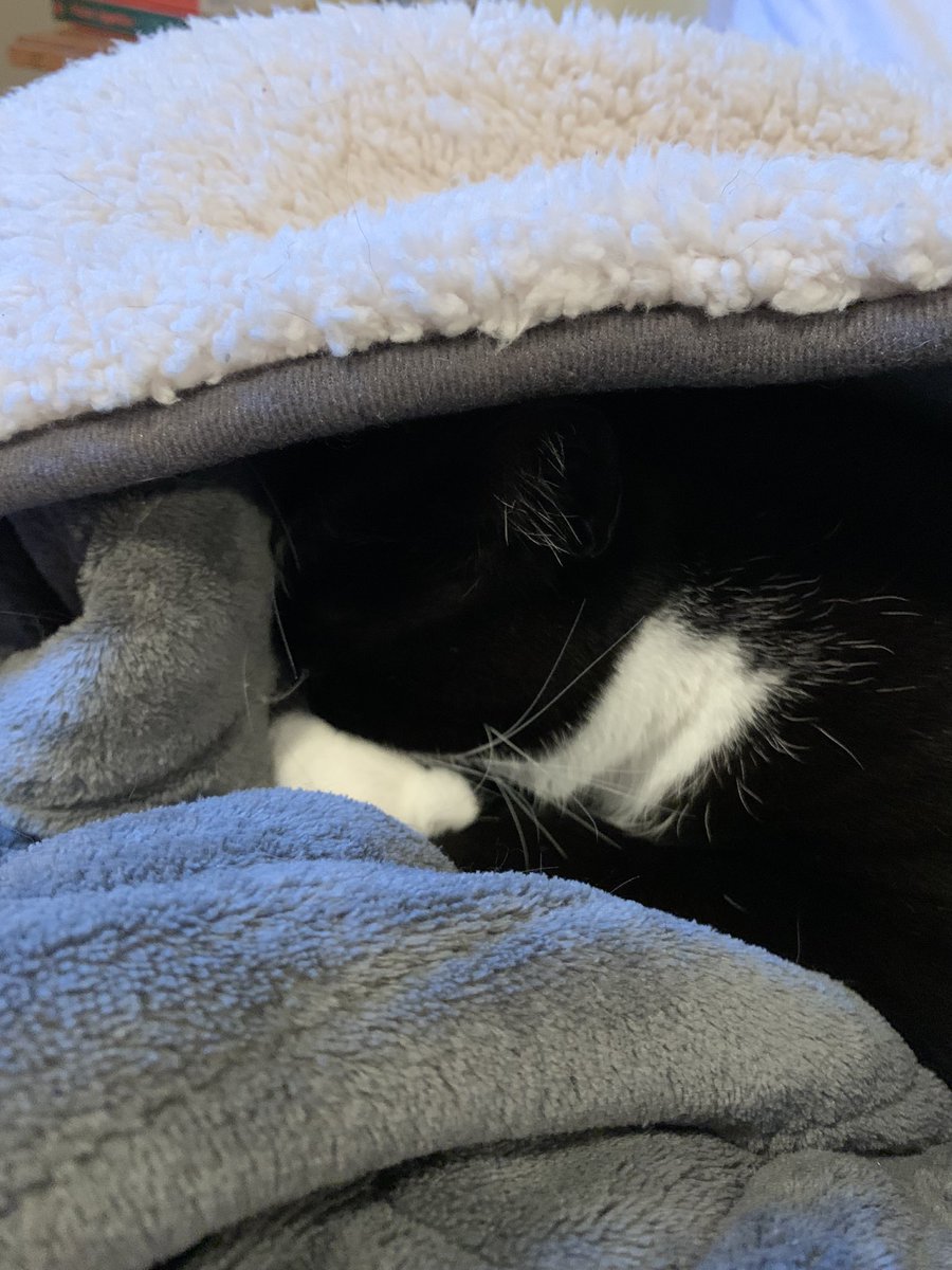 This guy is honestly such a mood.