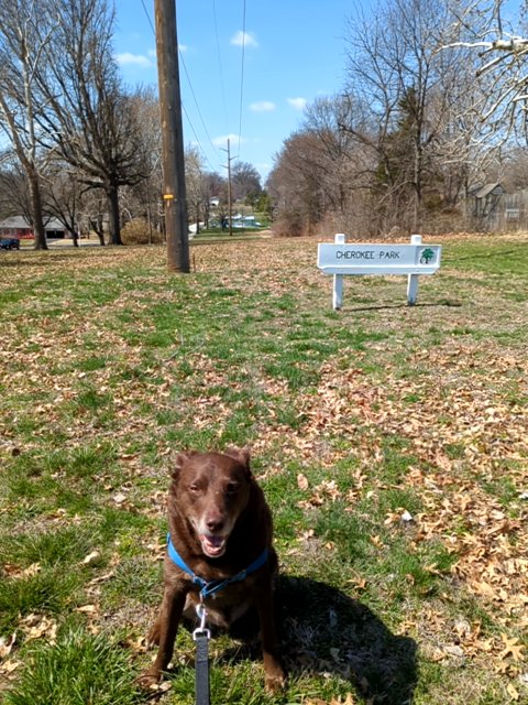 chwloopty's tweet photo. Bear and LooptyLuke found #ethereum in a User vault at #cherokeepark! Join me playing #coinhuntworld, It's awesome! https://t.co/8XjrSth3Mv #cryptocurrency #171601 https://t.co/7uvzo4mfY0