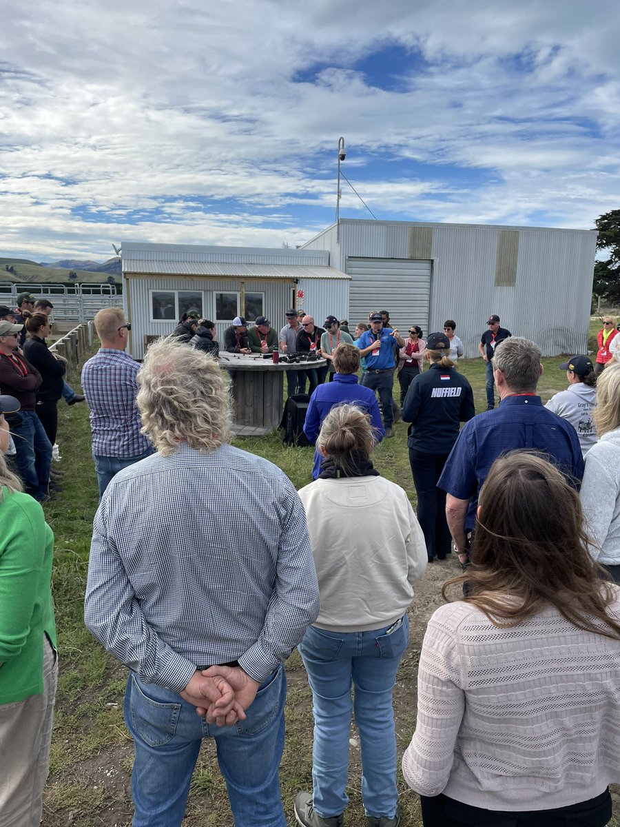 Mark Phillips tweet media