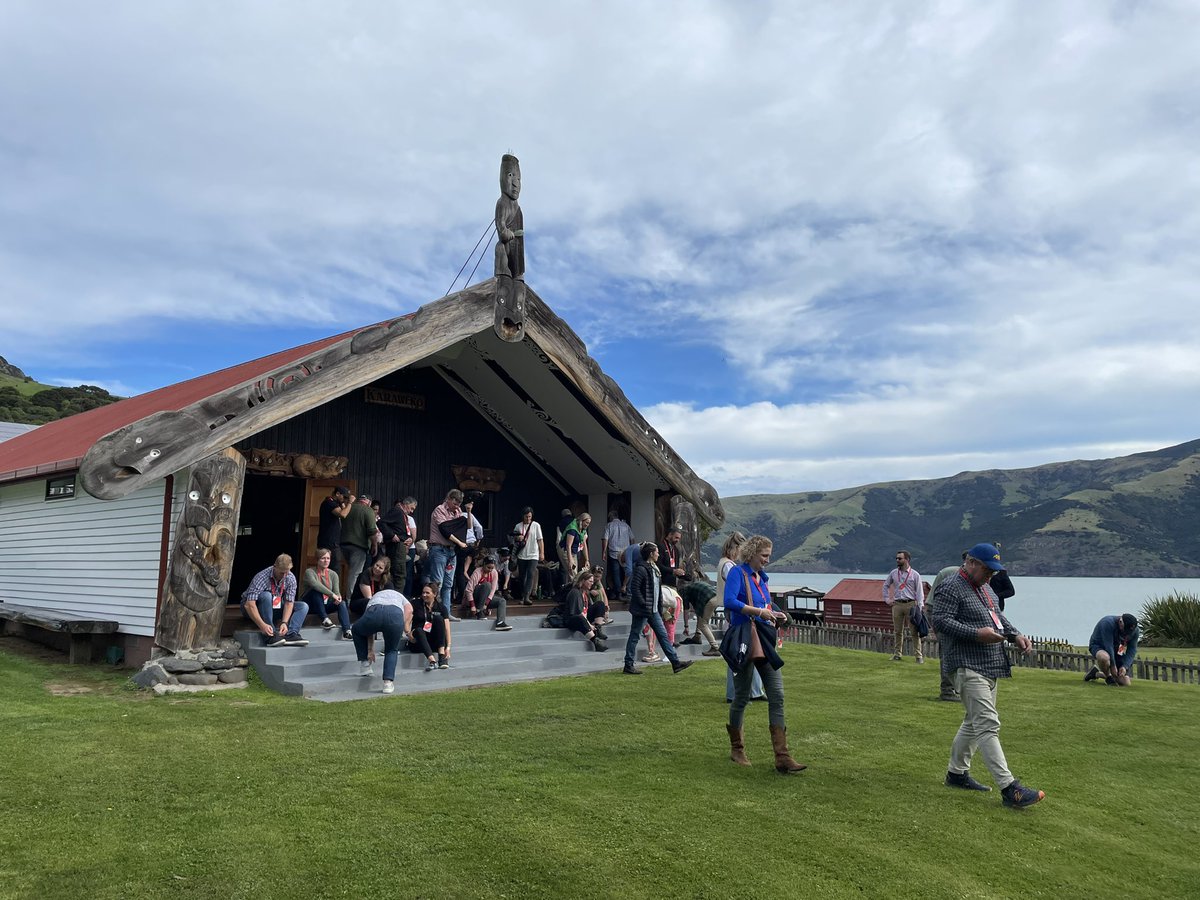 Mark Phillips tweet media