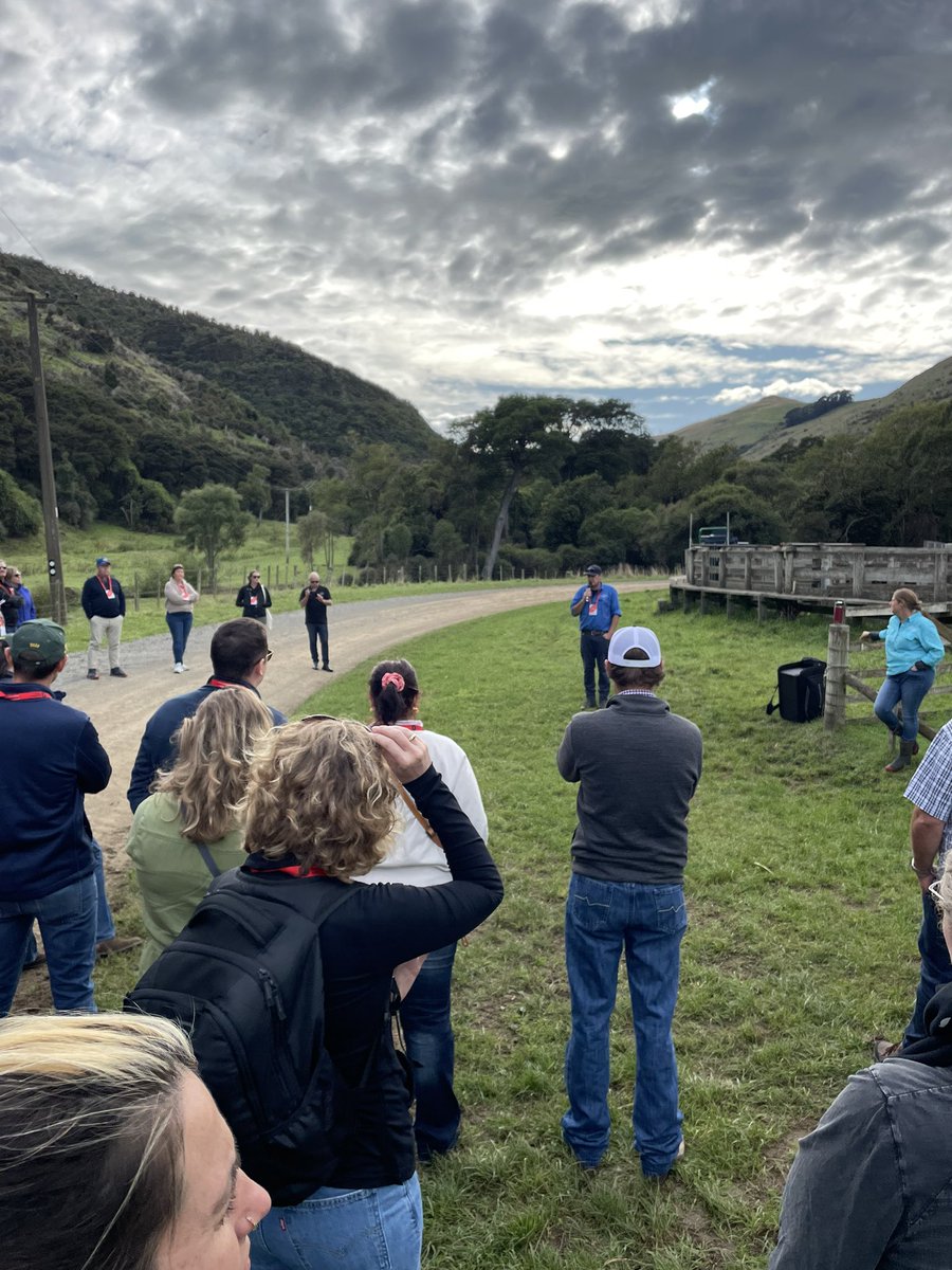 Mark Phillips tweet media