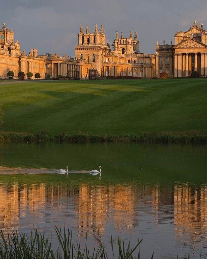 Cotswold Buying Agent tweet media
