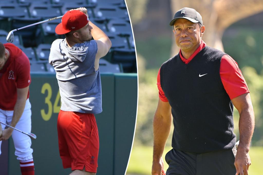 New York Post on Twitter "Mike Trout teaming up with Tiger Woods for special New Jersey golf