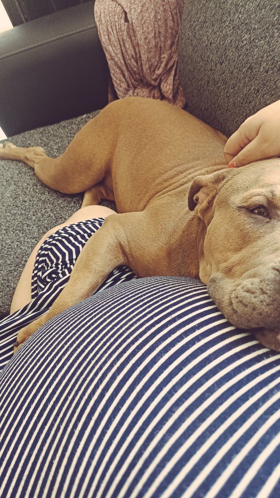 chinitika13's tweet image. Ella cuida de su bebé.. #week38