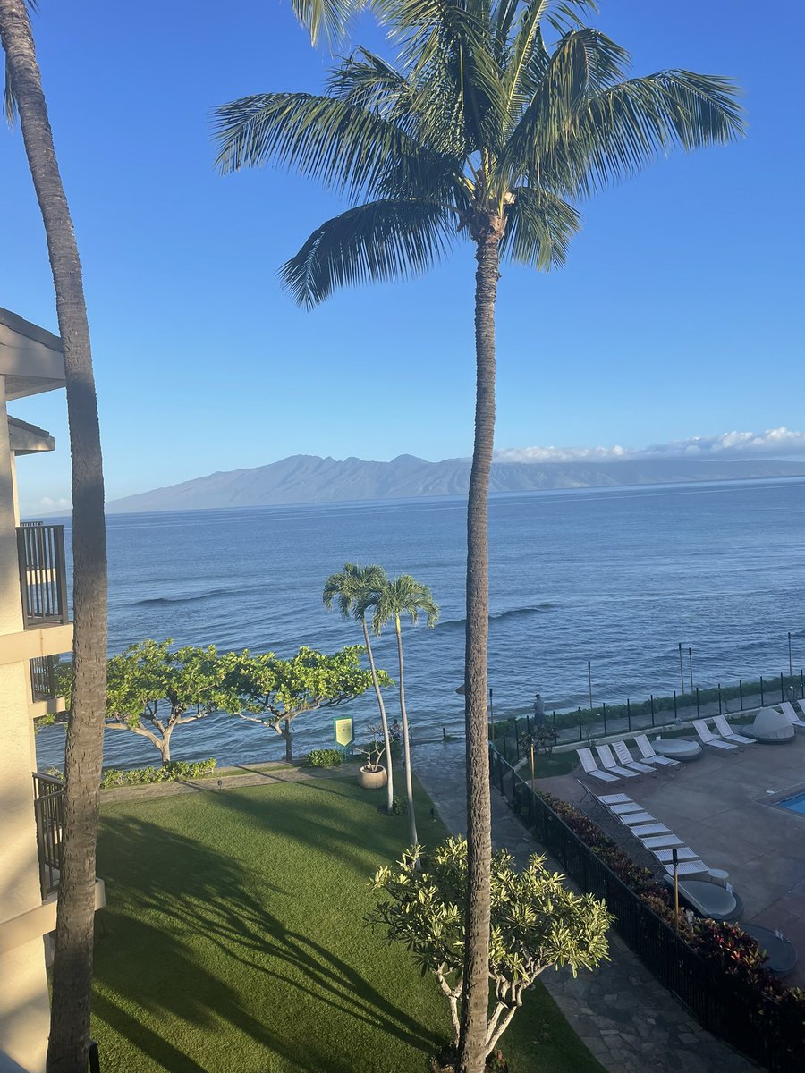 troywixo's tweet photo. This mornings view https://t.co/KfDRceS3tW