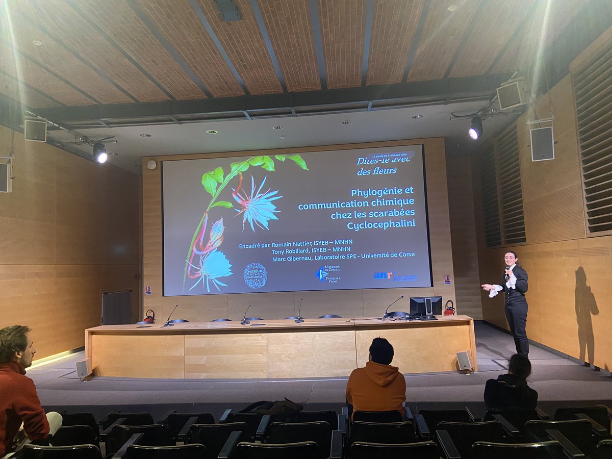 Tony Robillard tweet media