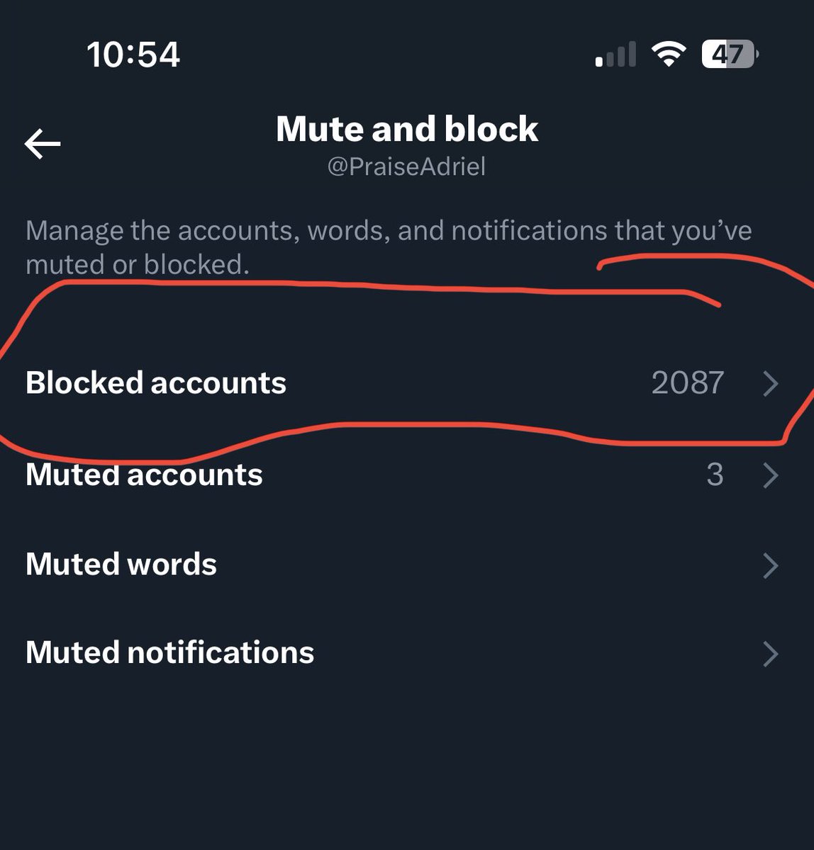 PraiseAdriel's tweet photo. It’s taken me a few months, but I think I finally blocked all of Had’s accounts. 

#SaveWarriorNun #WarriorNun https://t.co/hs43fZ0FGm