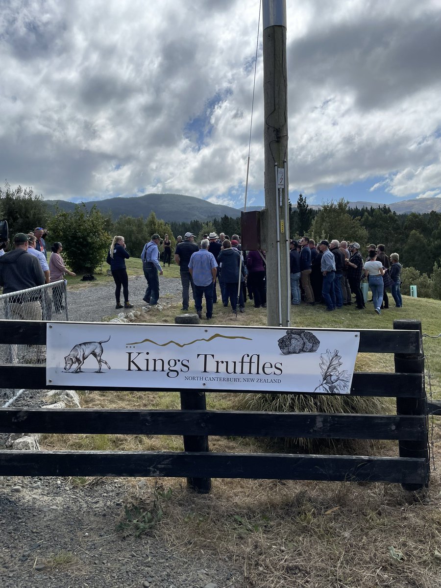 Mark Phillips tweet media