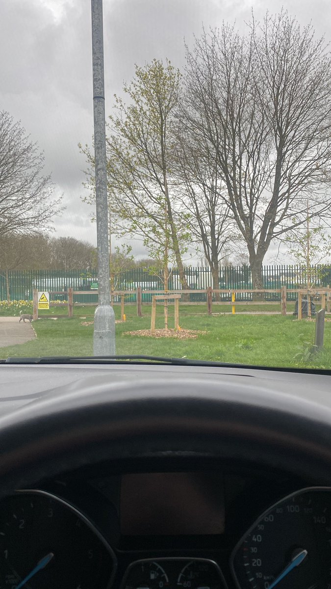 Keli_OC's tweet photo. Just mentally preparing myself for my walk in regional park, been here since 18:43 x https://t.co/xQGLc2Mnqm
